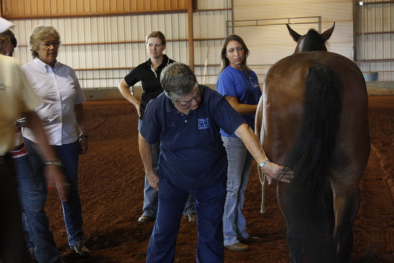 CHA Instructor Recertification Certified Horsemanship Association