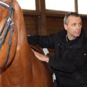 BLOG – Page 2 – Certified Horsemanship Association