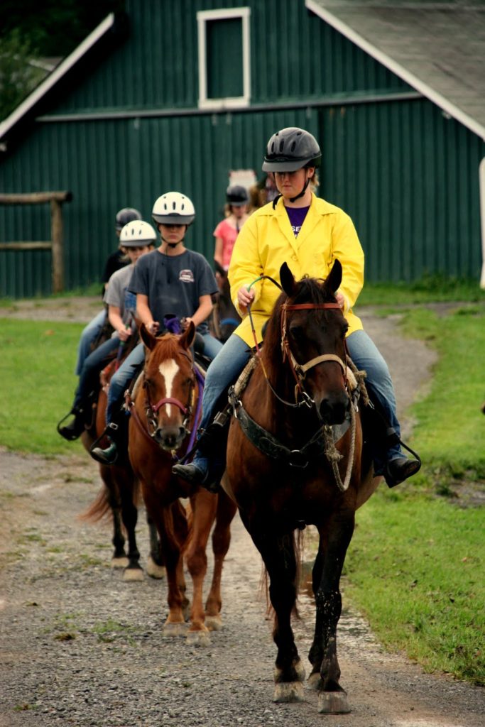 Wears Valley - How to find the best horseback riding camp near me
