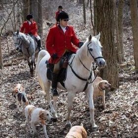 Battle creek hunt