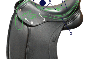 Numbered Saddle for List