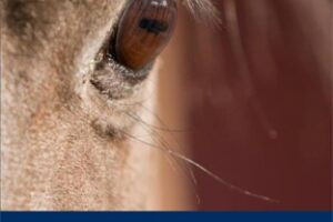 pub-equine-professionals-manual-cover-printer-web