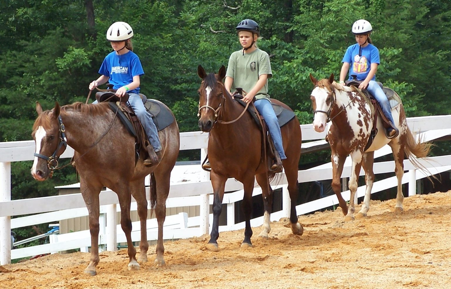 Equestrian Camps Certified Horsemanship Association