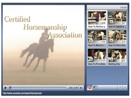 Certified Horsemanship Association – Find CHA Certified Equine